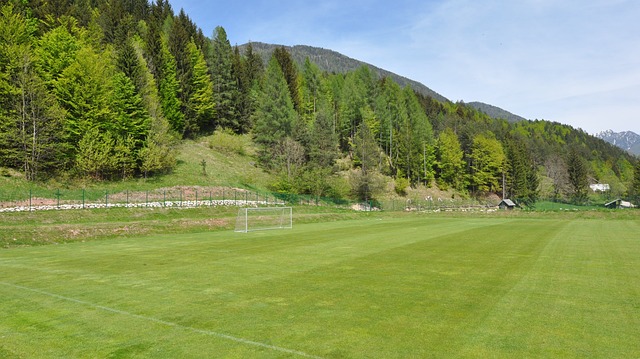 Inter